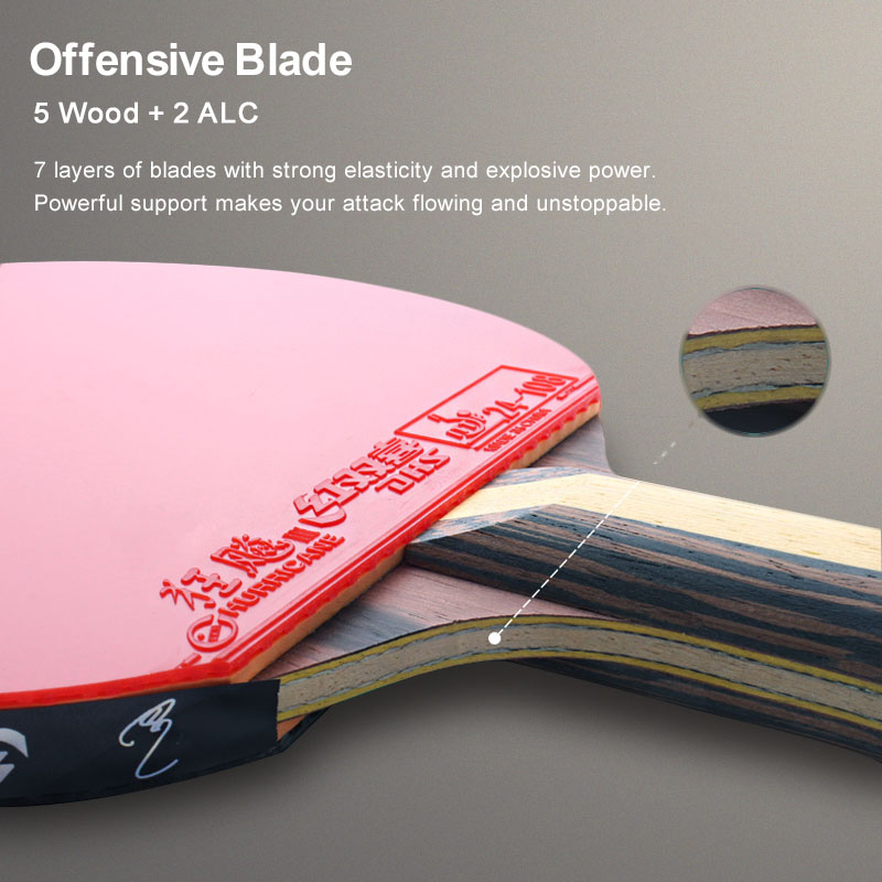 Racchetta da ping pong DHS 9 S - Table Tennis Eleven recensione e prezzo