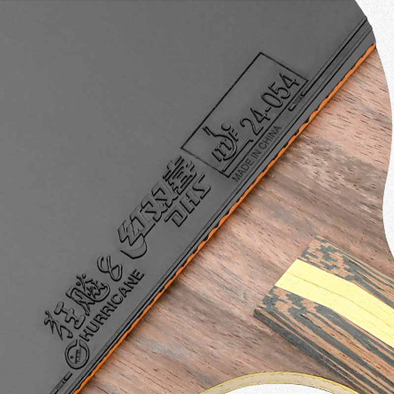 Racchetta da ping pong DHS 9 S - Table Tennis Eleven recensione e prezzo