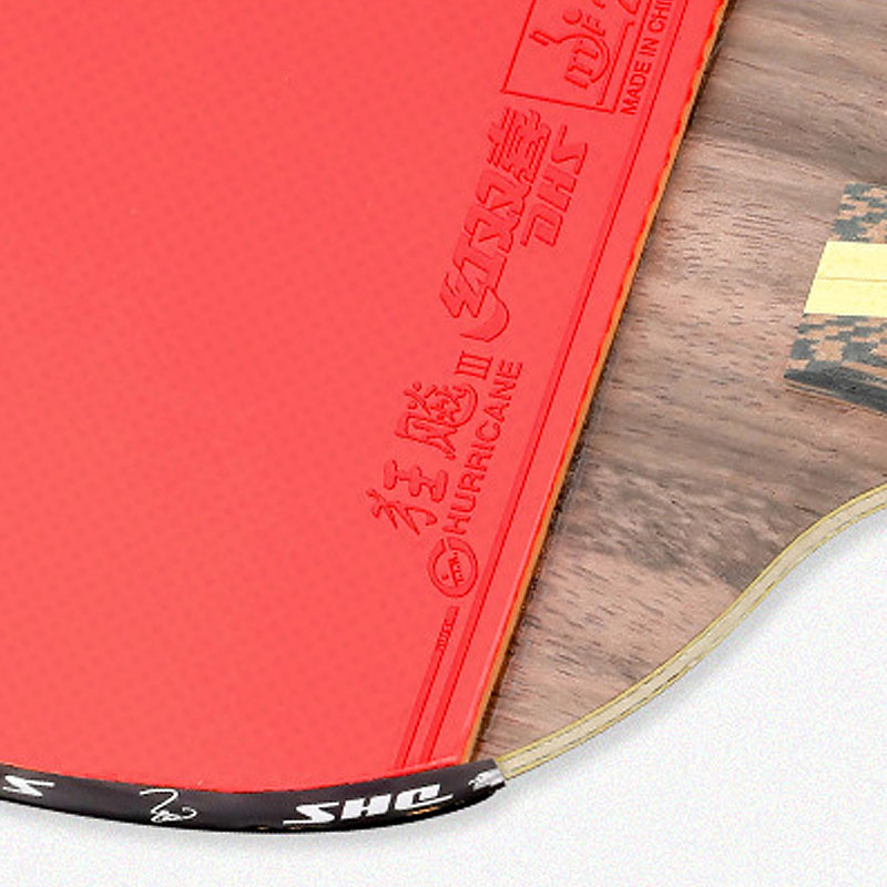 Racchetta da ping pong DHS 9 S - Table Tennis Eleven recensione e prezzo