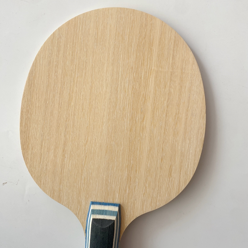 Racchetta da Ping Pong Lemuria - Xu Xin Table Tennis recensione e prezzo