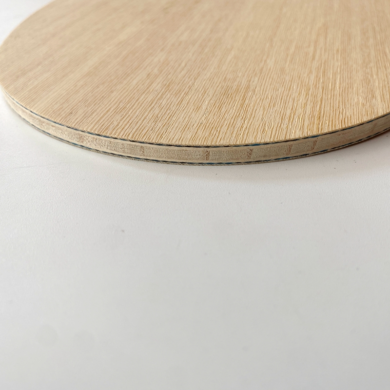 Racchetta da Ping Pong Lemuria - Xu Xin Table Tennis recensione e prezzo