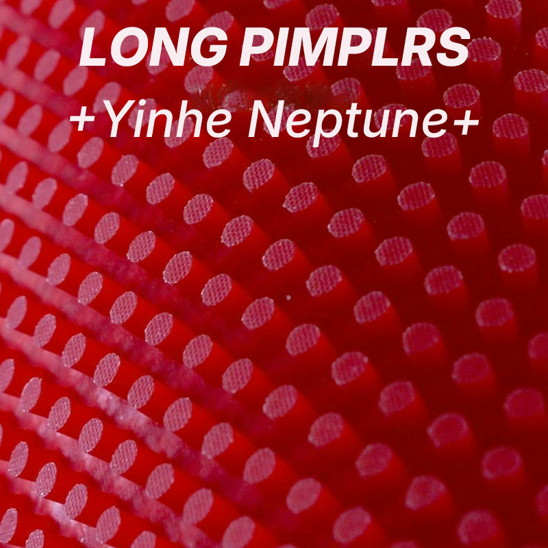 Gomma da Ping Pong YINHE NEPTU - Table Tennis Defense recensione e prezzo
